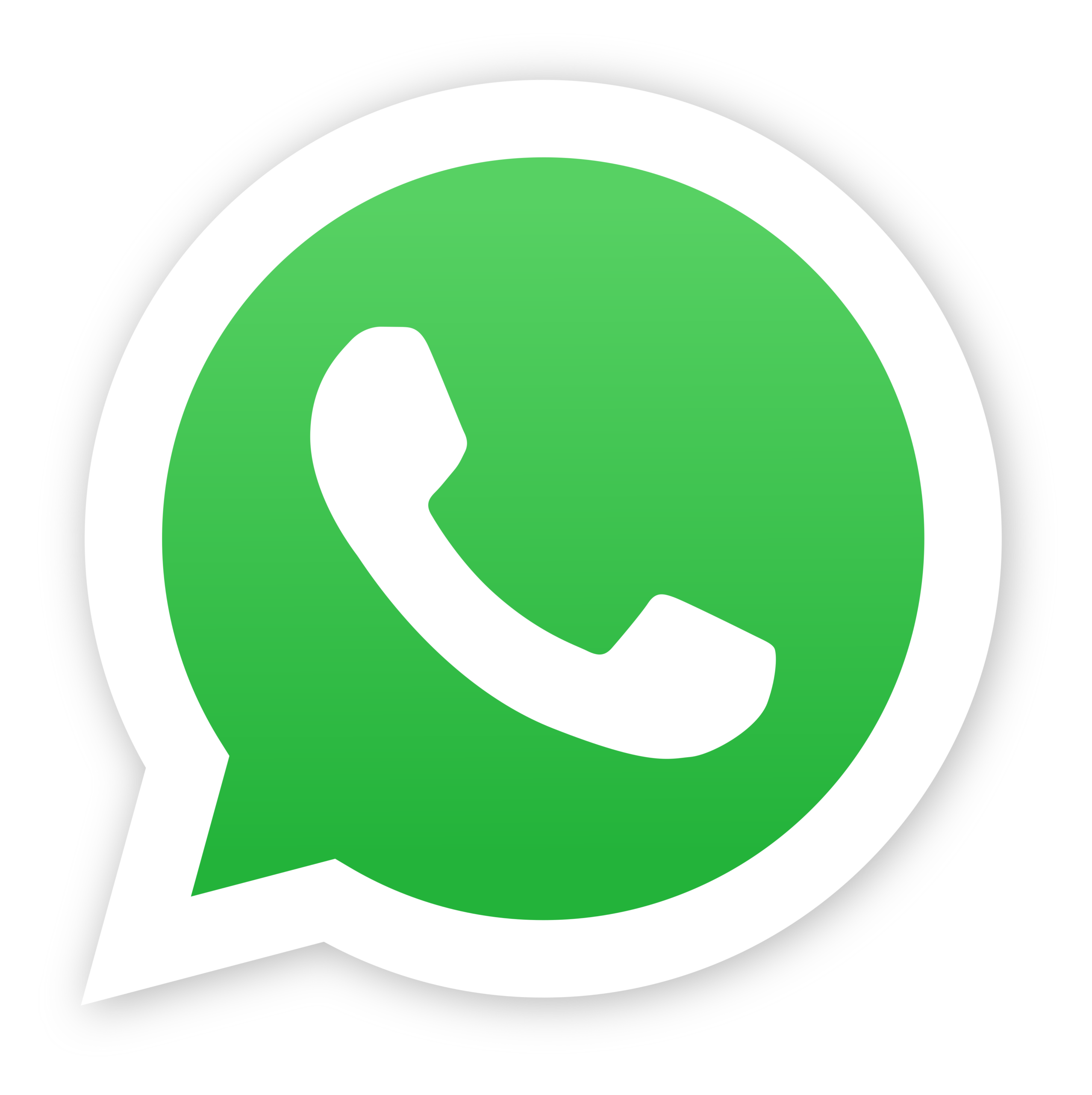 WhatsApp BELLUCCI