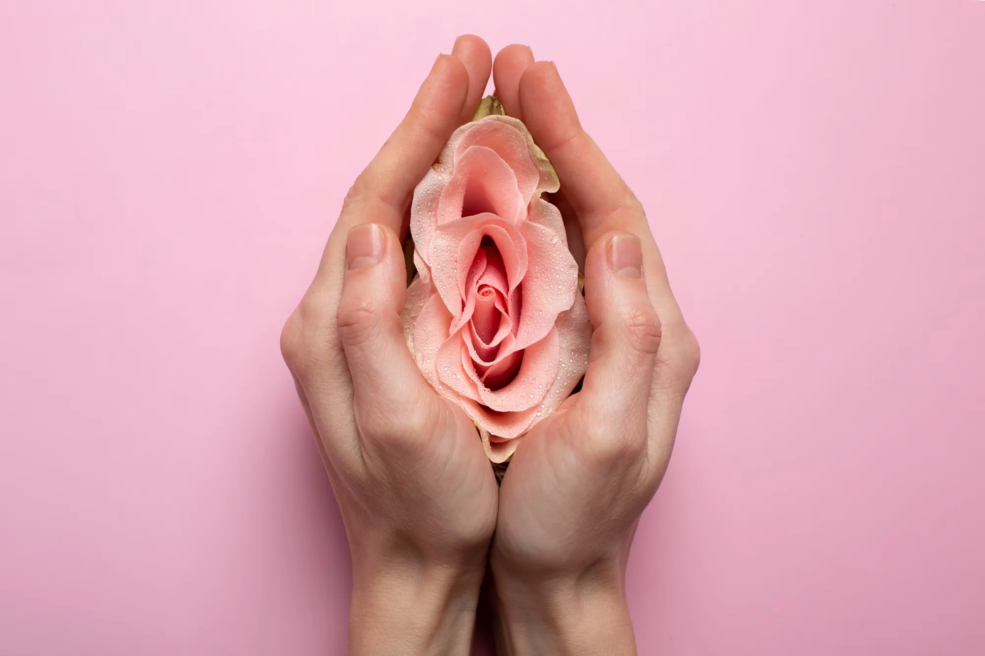 imgi_30_mujer-sosteniendo-rosa-manos-visualizacion-sistema-reproductivo_52683-104693